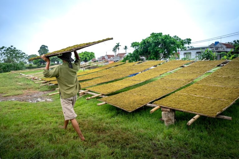 Making the Switch: The Process of Installing Solar Panels Explained